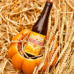 box-automne-biere-bruxellensis