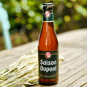Saison-Dupont