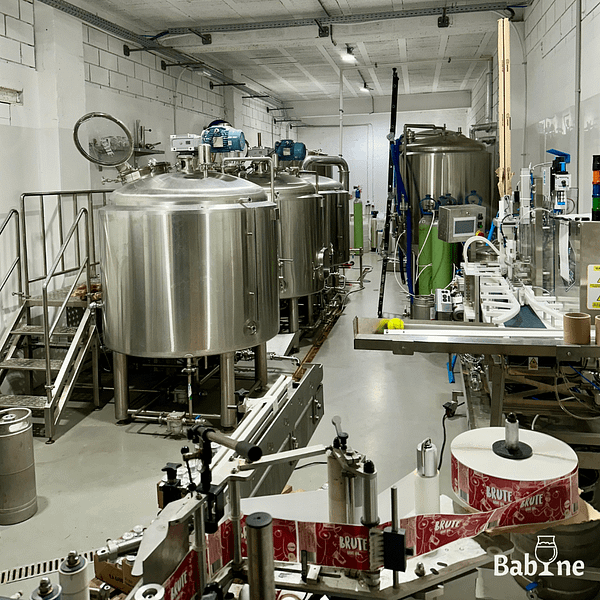 Babine-LaCahute-brasserie