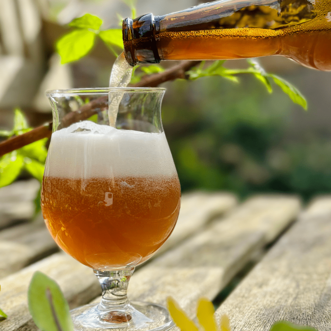 Bière box printemps - Idaho Mon Amour