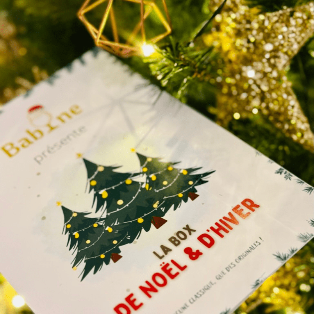 Box-Noel-Babine-guide