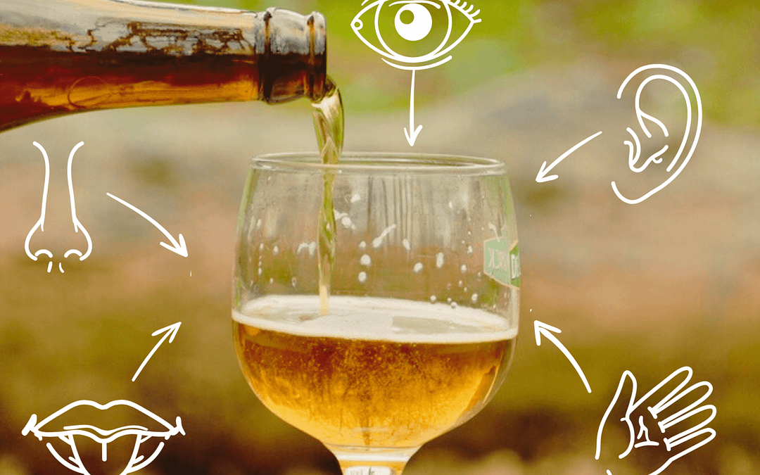 Comment déguster une bière ?