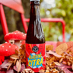 box-automne-blasting-citra