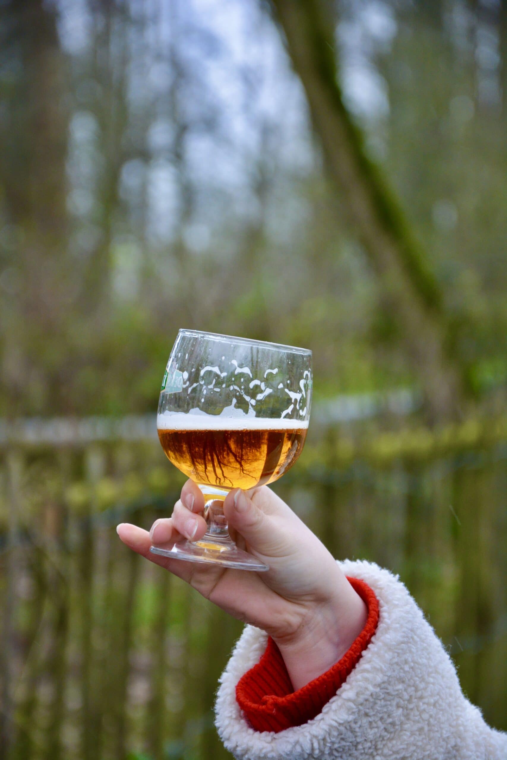 Triple bière verre Minne