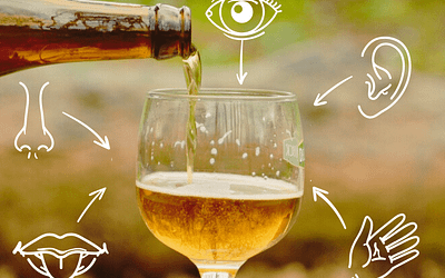 Comment déguster une bière ?